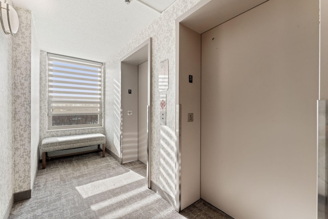 1425 28th St Unit 510, Minneapolis, MN 55408 - hallway with elevator, wallpapered walls, and carpet