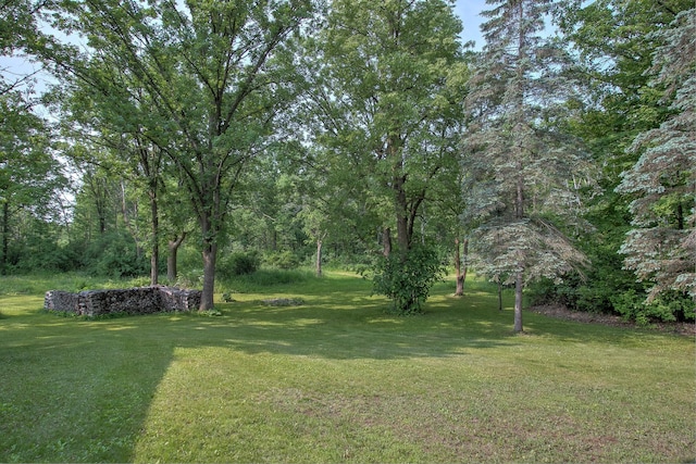 2509 Jade St, Mora, MN 55051 - view of green lawn