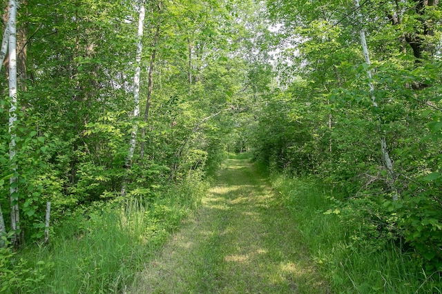 2509 Jade St, Mora, MN 55051 - view of tree filled area