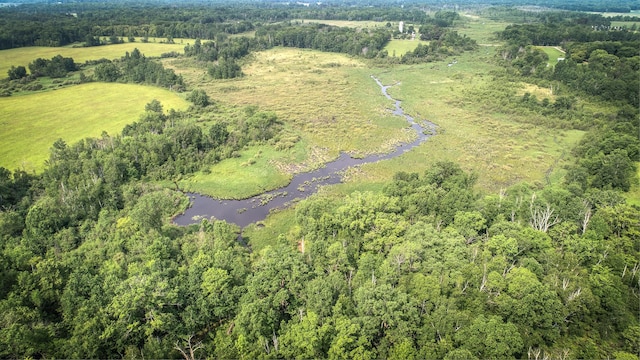 2509 Jade St, Mora, MN 55051 - view of property location featuring a forest and a large body of water