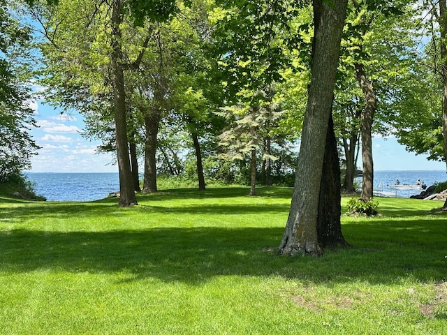 18819 329th Ave, Isle, MN 56342 - view of grassy yard featuring a water view