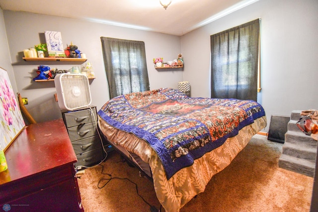 2009 7th St N, Fargo, ND 58102 - bedroom with carpet floors