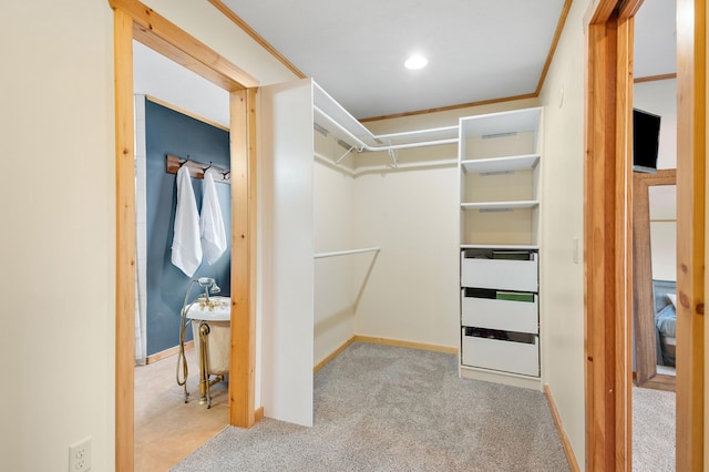 2487 2nd St SW, Buffalo, MN 55313 - walk in closet with carpet
