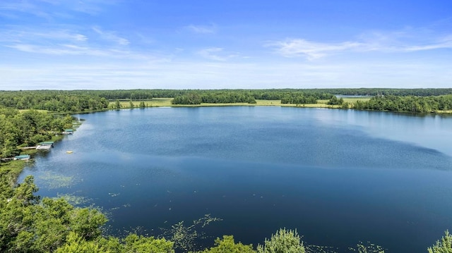 24674 Taylor Lake Rd, Siren, WI 54893 - photo 1