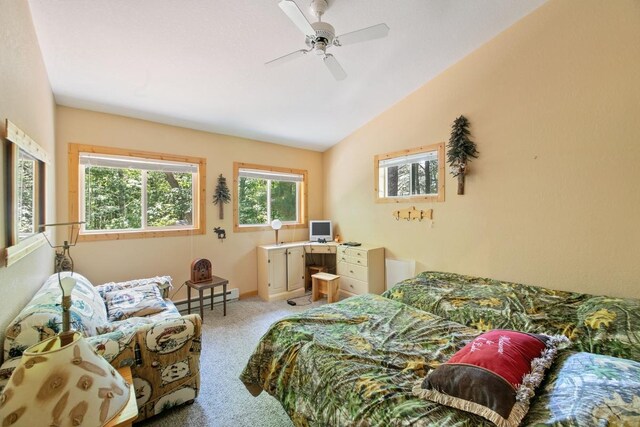 24674 Taylor Lake Rd, Siren, WI 54893 - photo 10