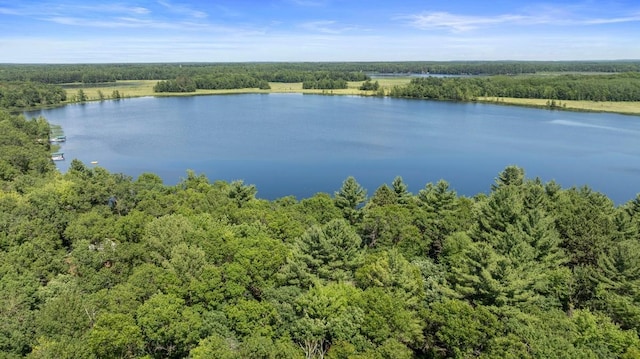 24674 Taylor Lake Rd, Siren, WI 54893 - photo 19