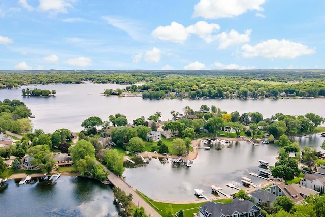 15084 Appaloosa Trl NE, Prior Lake, MN 55372 - aerial view of residential area featuring a large body of water
