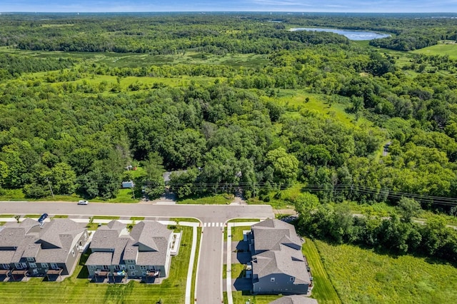 13323 Territorial Cir N, Maple Grove, MN 55369 - aerial view of residential area with a forest