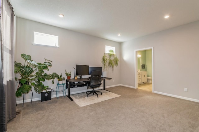 13323 Territorial Cir N, Maple Grove, MN 55369 - photo 15