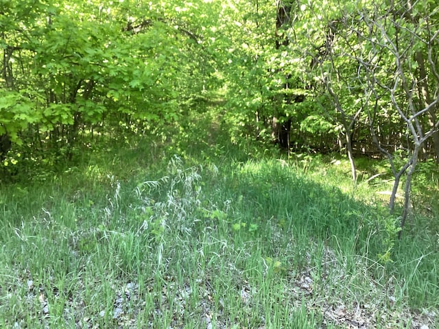 TBD Hidden Oaks Dr NW, Alexandria, MN 56308