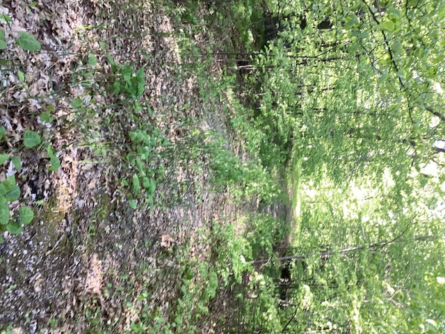 TBD Hidden Oaks Dr NW, Alexandria, MN 56308