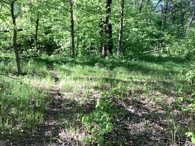 TBD Hidden Oaks Dr NW, Alexandria, MN 56308