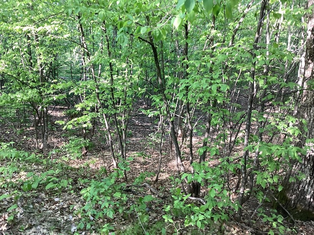 TBD Hidden Oaks Dr NW, Alexandria, MN 56308