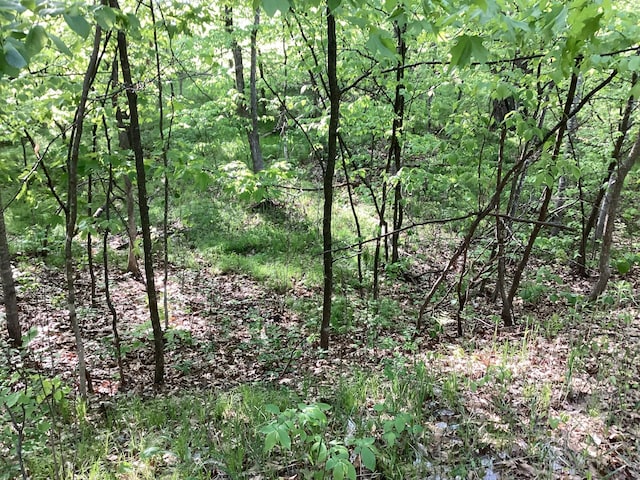 TBD Hidden Oaks Dr NW, Alexandria, MN 56308