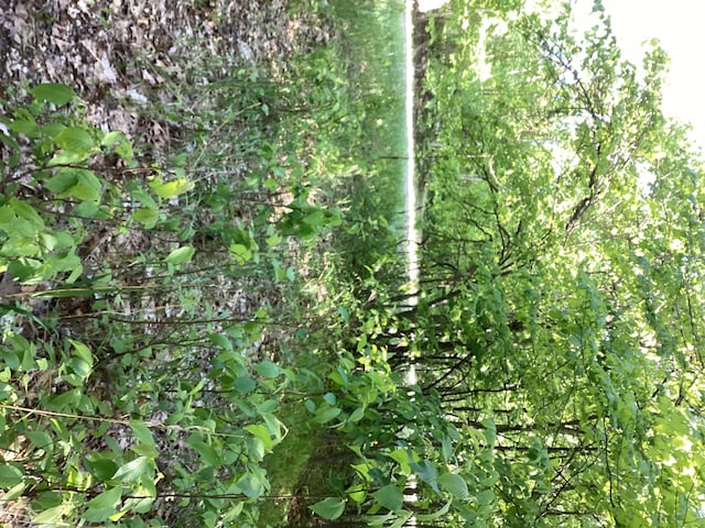 TBD Hidden Oaks Dr NW, Alexandria, MN 56308