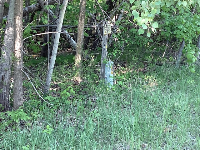 TBD Hidden Oaks Dr NW, Alexandria, MN 56308