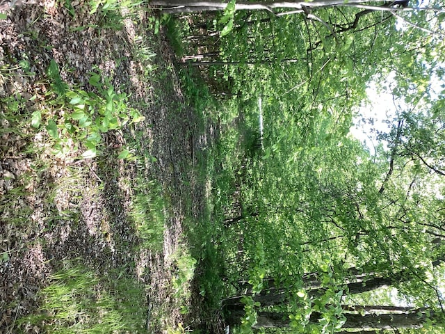 TBD Hidden Oaks Dr NW, Alexandria, MN 56308