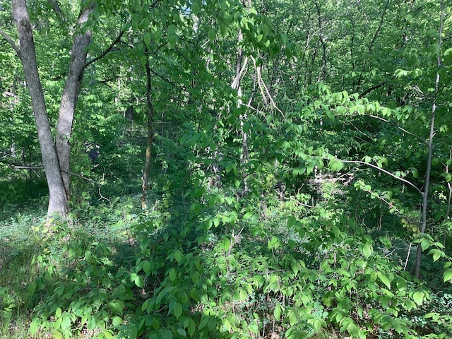 TBD Hidden Oaks Dr NW, Alexandria, MN 56308