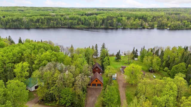 7194 Quentin Rd NE, Outing, MN 56662 - aerial view of a forest and a large body of water