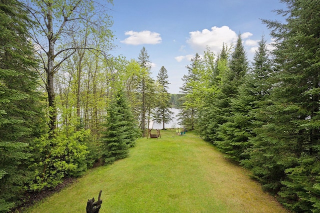 7194 Quentin Rd NE, Outing, MN 56662 - view of grassy yard