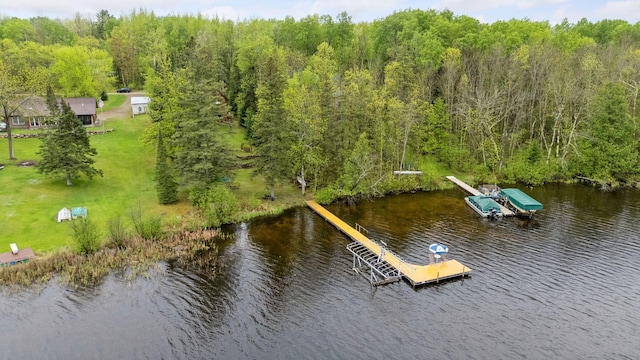 7194 Quentin Rd NE, Outing, MN 56662 - aerial view of a large body of water and a forest