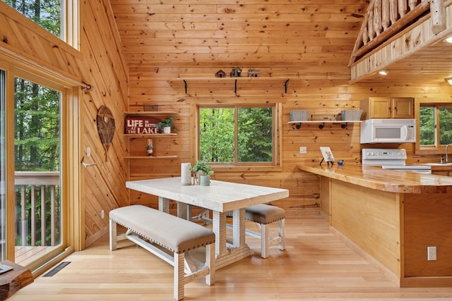 7194 Quentin Rd NE, Outing, MN 56662 - dining room with plenty of natural light, wooden walls, light wood-style flooring, and high vaulted ceiling