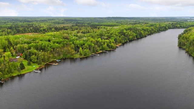 7194 Quentin Rd NE, Outing, MN 56662 - bird's eye view of a heavily wooded area and a large body of water