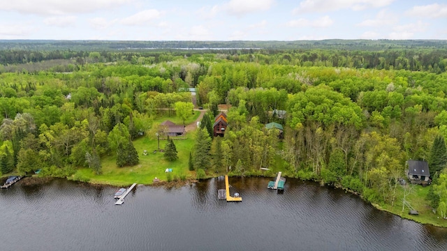 7194 Quentin Rd NE, Outing, MN 56662 - aerial view of a heavily wooded area and a large body of water