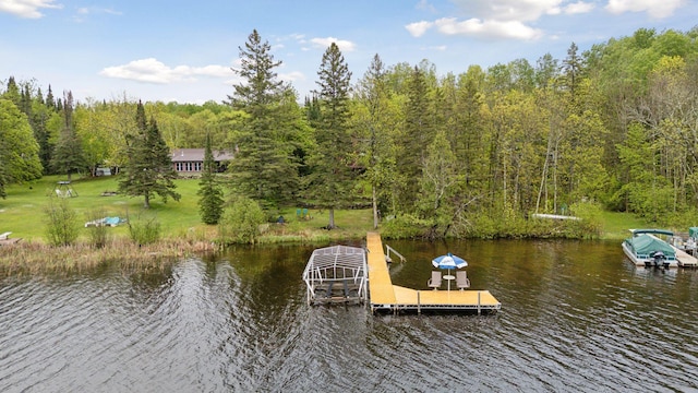 7194 Quentin Rd NE, Outing, MN 56662 - dock area with a water view and a wooded view