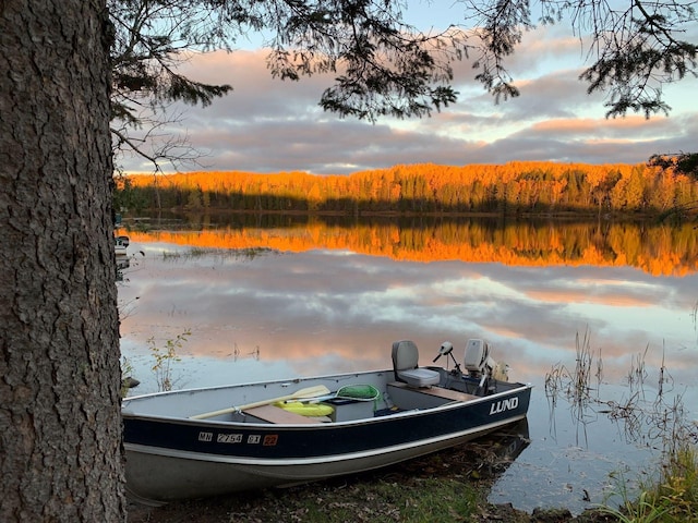 7194 Quentin Rd NE, Outing, MN 56662 - dock with a view of trees and a water view