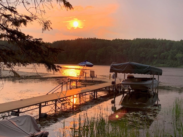 7194 Quentin Rd NE, Outing, MN 56662 - dock area with a view of trees, a water view, and boat lift