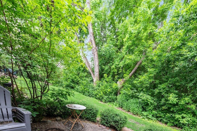 5241 Silver Maple Cir, Minnetonka, MN 55343 - view of yard