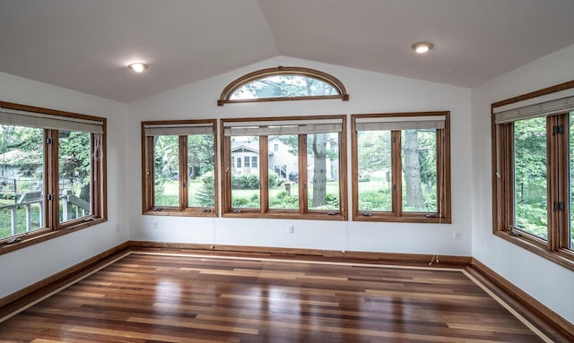 705 Grundhoefer Ct, Northfield, MN 55057 - unfurnished room with wood finished floors, vaulted ceiling, and plenty of natural light