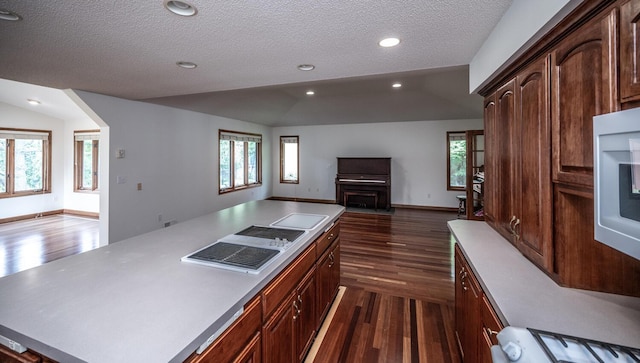 705 Grundhoefer Ct, Northfield, MN 55057 - kitchen featuring open floor plan, lofted ceiling, dark wood-style flooring, a textured ceiling, and light countertops