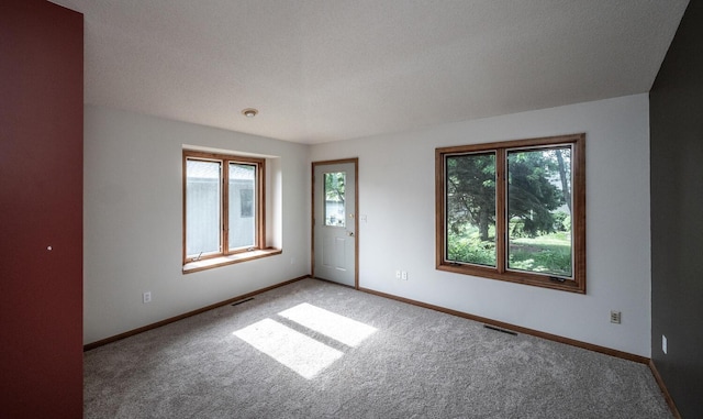 705 Grundhoefer Ct, Northfield, MN 55057 - spare room featuring carpet floors
