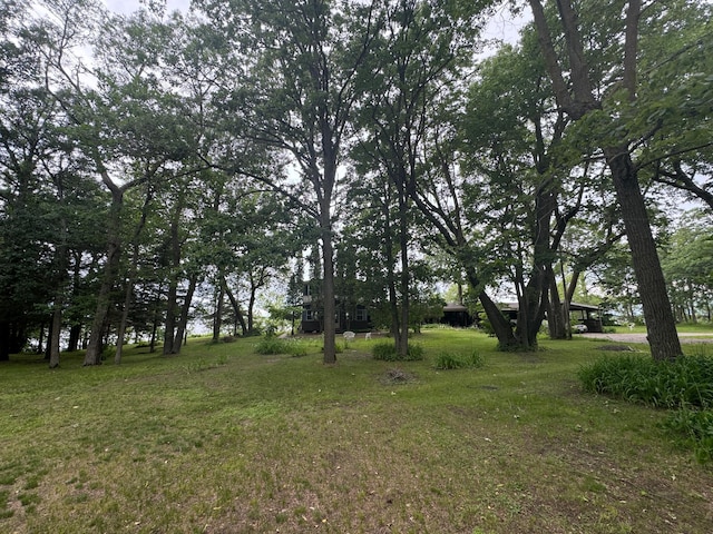 22560 Height Of Land Dr, Detroit Lakes, MN 56501 - view of grassy yard