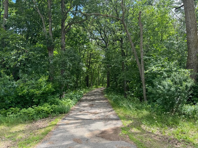 22560 Height Of Land Dr, Detroit Lakes, MN 56501 - view of street featuring a forest view