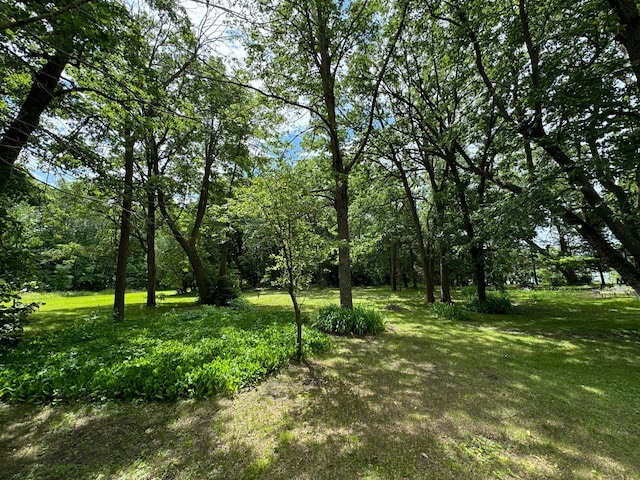 22560 Height Of Land Dr, Detroit Lakes, MN 56501 - view of green lawn