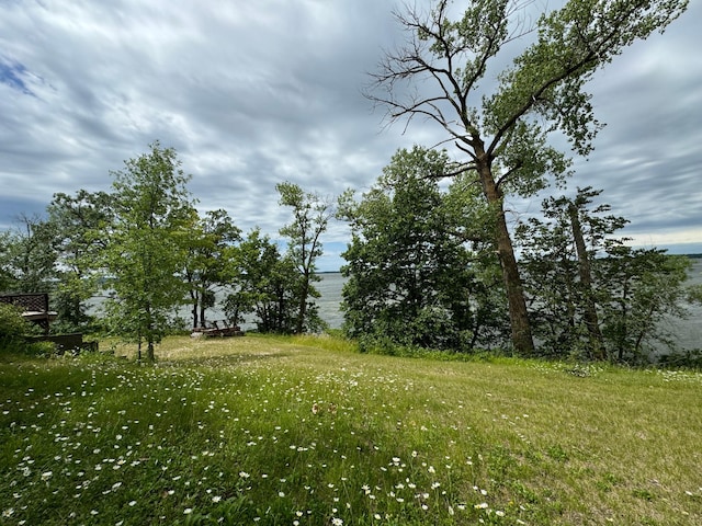 22560 Height Of Land Dr, Detroit Lakes, MN 56501 - view of green lawn