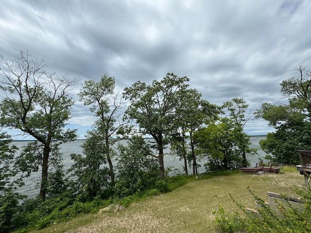 22560 Height Of Land Dr, Detroit Lakes, MN 56501 - view of green lawn
