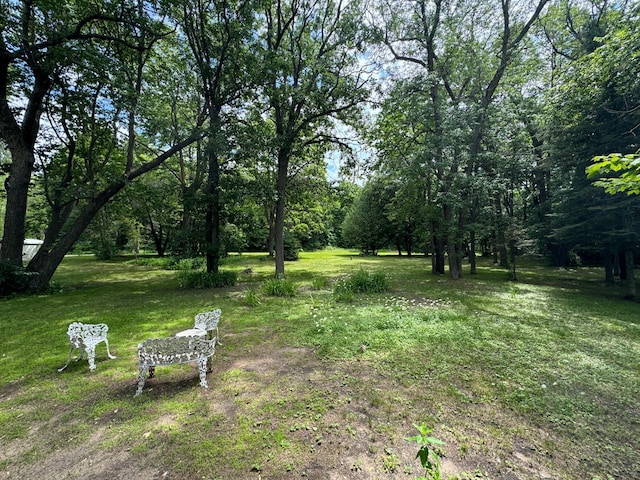 22560 Height Of Land Dr, Detroit Lakes, MN 56501 - view of green lawn