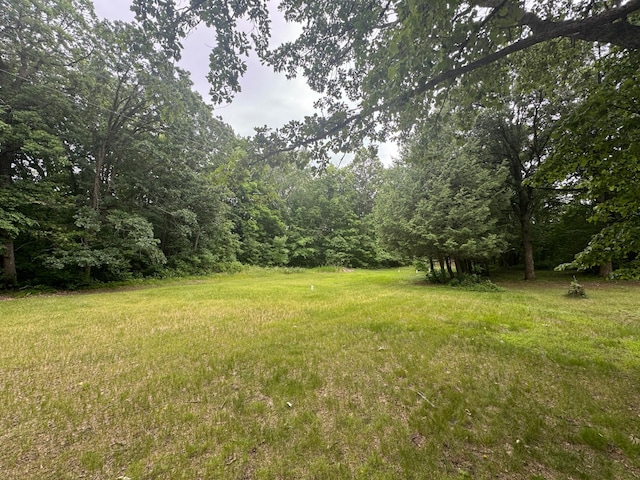 22560 Height Of Land Dr, Detroit Lakes, MN 56501 - view of yard featuring a view of trees