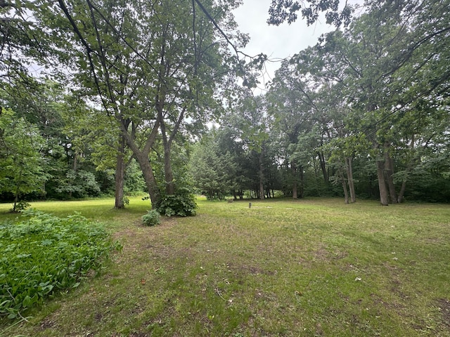 22560 Height Of Land Dr, Detroit Lakes, MN 56501 - view of green lawn
