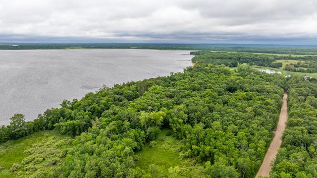 22560 Height Of Land Dr, Detroit Lakes, MN 56501 - drone / aerial view of a heavily wooded area and a large body of water