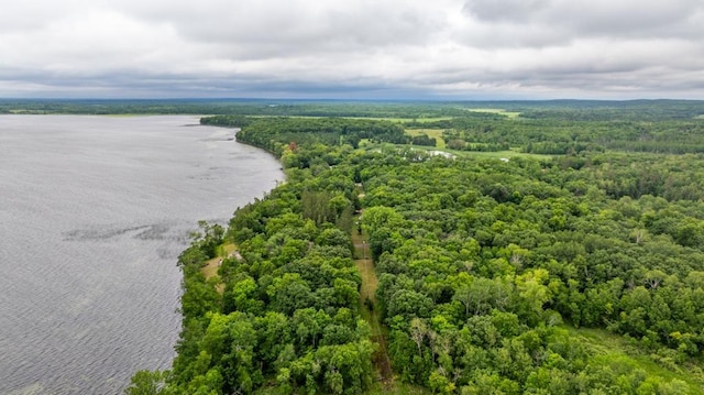 22560 Height Of Land Dr, Detroit Lakes, MN 56501 - aerial view of a nearby body of water and a forest