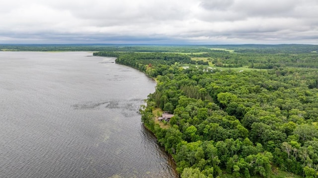 22560 Height Of Land Dr, Detroit Lakes, MN 56501 - drone / aerial view of a nearby body of water and a forest