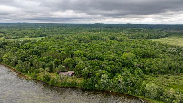 22560 Height Of Land Dr, Detroit Lakes, MN 56501 - aerial view of a forest and a nearby body of water