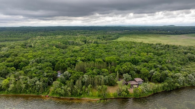 22560 Height Of Land Dr, Detroit Lakes, MN 56501 - aerial view of property and surrounding area with a forest and a large body of water