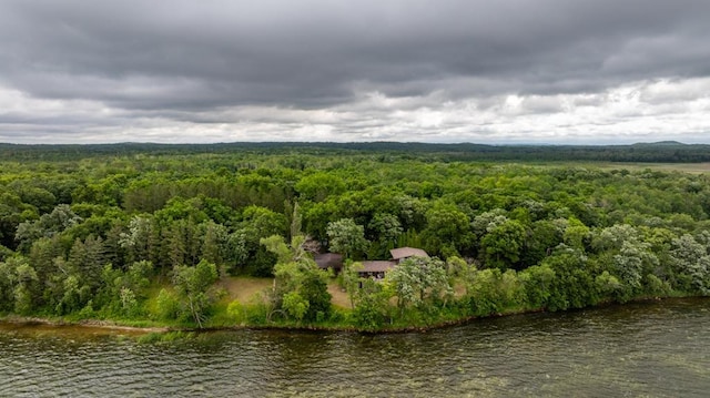 22560 Height Of Land Dr, Detroit Lakes, MN 56501 - view from above of property featuring a forest and a nearby body of water