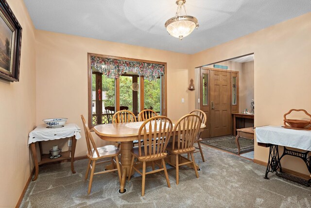 15789 41st St, Santiago Twp, MN 55308 - photo 20